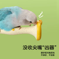 Parrot Apple Core Perch Chew Toy for Cage Decoration and Claw Grinding