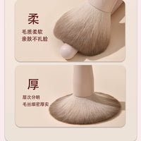 Eyeshadow Brush Set with Bag, Professional Eye Makeup Brushes for Blending, Detailing, and Eyeliner