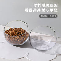 Elevated Glass Pet Bowl with Silicone Mat for Cats and Small Dogs, Tilted Design for Neck Protection