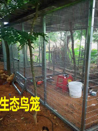 Galvanized Welded Wire Mesh for Poultry Cages, Rabbit Hutches, Pigeon Enclosures, and Fencing
