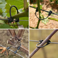 Plant Stem Support Clips for Grape Vines and Fruit Trees