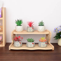 Solid Wood Desktop Organizer Shelf Multi-layer Storage for Office Desk Art Supplies Cosmetics Display