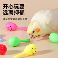Parrot Chew Toy Set with Rattle and Bell Balls for Small to Medium Birds