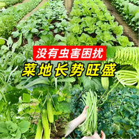 Garden Insect Netting 100 Mesh Anti-Aging Nylon Mesh for Vegetable & Fruit Tree Protection