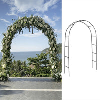 Metal Garden Arch Trellis for Climbing Plants, Roses, Clematis, and Vines