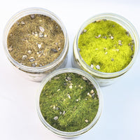 Micro Landscape Simulation Grass Powder for DIY Architectural Models and Sand Tables