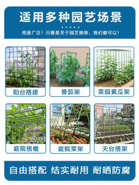 Plant Support Stakes for Climbing Vines, Tomatoes, Cucumbers, and Flowers - Plastic-Coated Steel
