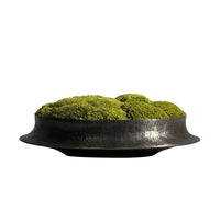 Hand-Hammered Pure Copper Moss Bonsai Basin for Green Plants and Landscape Decor