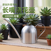 Stainless Steel Long Spout Watering Can for Indoor & Outdoor Plants, 1L Capacity