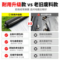 Silver-Black Agricultural Mulch Film for Watermelon Cultivation - Thickened, Insulating, Reflective, Weed Control
