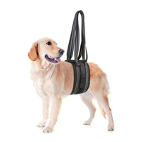 Breathable Mesh Pet Dog Walking Aid Harness for Injured Elderly Dogs Rehabilitation Support
