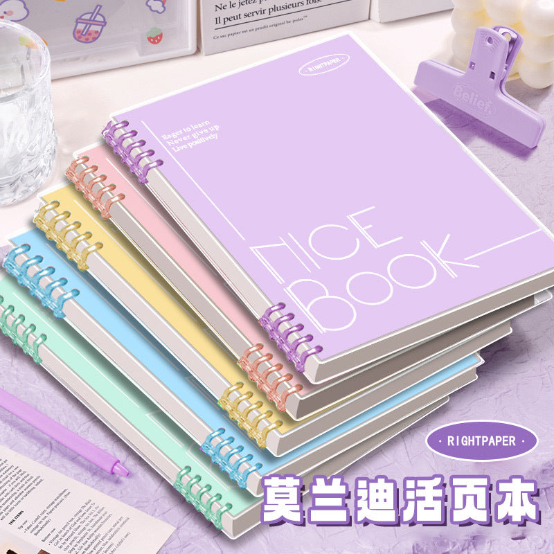 A4 PP Cover Spiral Notebook with Lined Pages, Detachable Loose-Leaf Design