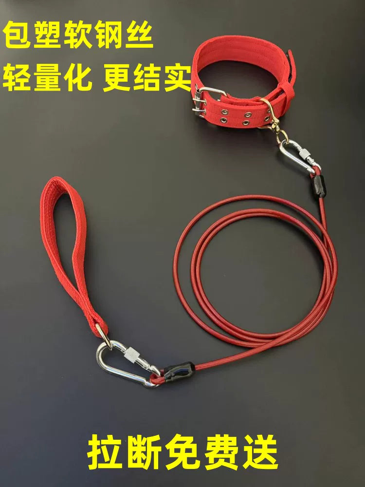 Heavy-Duty Anti-Bite Dog Leash with Collar for Medium to Large Dogs