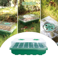 24-Cell Seedling Starter Tray with Humidity Dome for Home Gardening