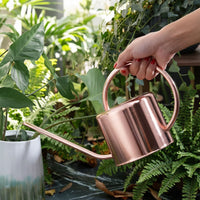 European Style Stainless Steel Watering Can for Indoor & Outdoor Plants, 1.2L
