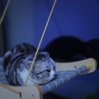 Suction Cup Cat Hammock Window Perch - Detachable & Washable Sunbathing Bed for Cats