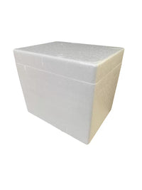 Insulated Foam Cooler Box for Medical Transport and Cold Chain Storage