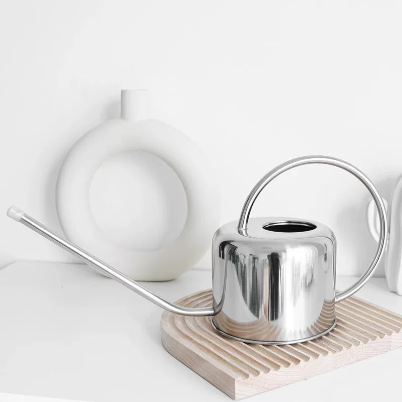 Nordic Long Spout Stainless Steel Watering Can for Indoor Plants & Garden, 1.3L