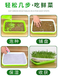 Hydroponic Seed Sprouter Tray Kit for Home Gardening, Soilless Bean Sprout Cultivator with Lid