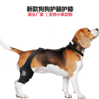 Pet Dog Rear Leg Brace with Collar for Joint Support and Injury Recovery