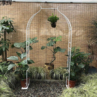 Vintage European Style Metal Garden Arch for Climbing Plants, Roses, and Vines