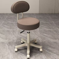 Adjustable Swivel Stool with Silent Wheels for Salon, Spa, Lab, and Home Use