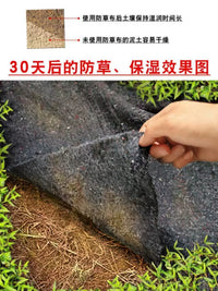 Agricultural Orchard Weed Barrier Fabric - 10-Year Lifespan, Breathable, Permeable, Moisture-Retaining, Fertilizer-Preserving, Frost Protection