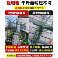 Stainless Steel Garden Trellis for Climbing Plants, Grape Vines, Cucumbers, Passion Fruit, Loofah