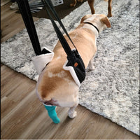 Dog Lift Harness for Support and Rehabilitation - Portable Pet Mobility Aid
