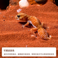 Reptile Calcium Sand Substrate for Lizards Spiders Scorpions Terrariums, Odor Control & Moisture Absorbing
