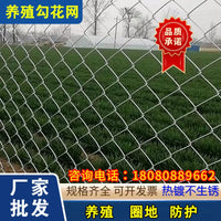 Galvanized Steel Chain Link Fence for Farm and Orchard Enclosures