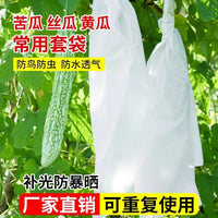 Reusable Non-Woven Fruit and Vegetable Protection Bags for Pest Control