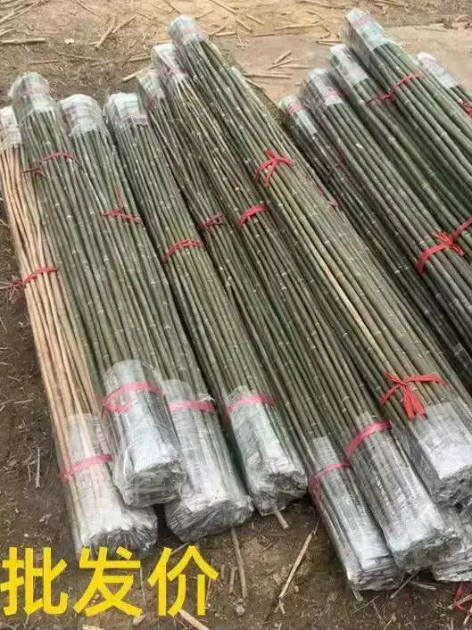 Bamboo Garden Stakes for Climbing Plants, Vegetable Support, Cucumber and Bean Trellis, Yard Fence