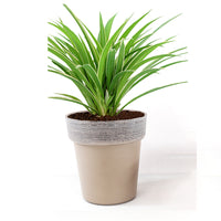 Summit Resin Imitation Ceramic Planter Pot for Vegetables and Flowers