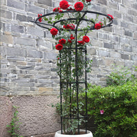 Umbrella-Shaped Metal Plant Trellis for Climbing Vines and Roses, Outdoor Garden Support