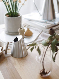 Stainless Steel Long Spout Watering Can for Indoor Plants and Succulents, Small Household Potting Kettle