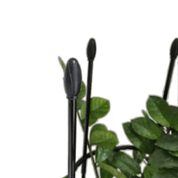 European Style Rose Climbing Trellis for Potted Plants and Garden Vines