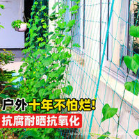 Plant Trellis Netting for Climbing Vegetables and Flowers, Heavy-Duty Support for Vines, Beans, Cucumbers, and More