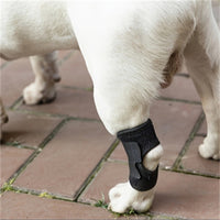 Pet Dog Post-Surgery Leg Brace Anti-Lick Joint Support Sleeve