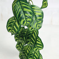 Artificial Ivy Vine for Pipe Decoration and Concealment, Faux Greenery Garland for Air Conditioner Pipes and Drain Hoses