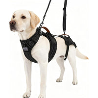 Pet Dog Support Harness for Injured Disabled Elderly Dogs