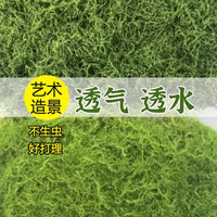 Artificial Moss Turf and Moss Silk for Micro Landscape Decor