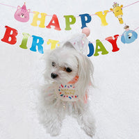 Pet Birthday Party Supplies Set with Hat, Bandana, and Drool Bib for Cats and Dogs