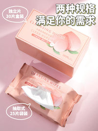 Portable Disposable Makeup Remover Wipes for Travel