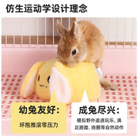 Guinea Pig and Rabbit Enrichment Toy Ball for Stress Relief and Claw Grinding