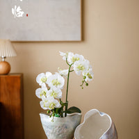 Jingdezhen Ceramic Orchid Planter Pot for Hydroponics and Breathable Plant Growth