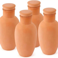 Terracotta Self-Watering Plant Spikes for Indoor and Outdoor Plants