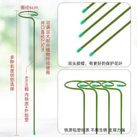 Plant Support Stakes for Amaryllis and Floral Arrangements, Coated Iron Garden Plant Support Rods