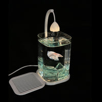 Desktop Mini Aquarium with LED Light for Betta Fish and Small Ornamentals