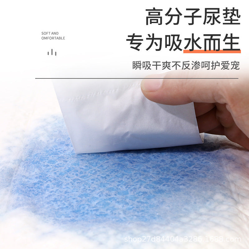 Pet Training Pads with Activated Carbon or Extra Thick Absorbent Layers for Dogs and Cats